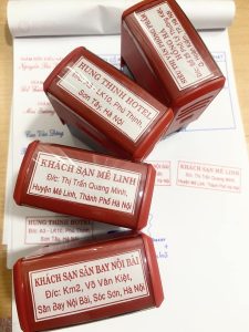 363003865 739855024818013 934128133621382738 N